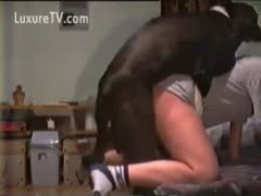 His dog sodomized him.